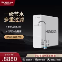 汉斯顿净水器家用直饮厨房自来水ro反渗透净水机升级款P60双水