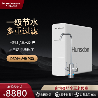汉斯顿净水器家用直饮厨房自来水ro反渗透净水机升级款P60双水