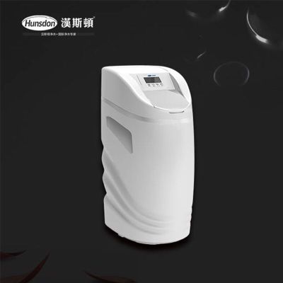 汉斯顿净水器家用全屋净水系统全自动中央软水机除垢R10