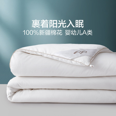 水星家纺云感·清氧棉棉花冬被床上用品