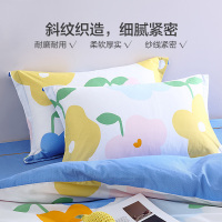 百丽丝100纯棉全棉枕套学生宿舍枕头套一对装双人新款床品