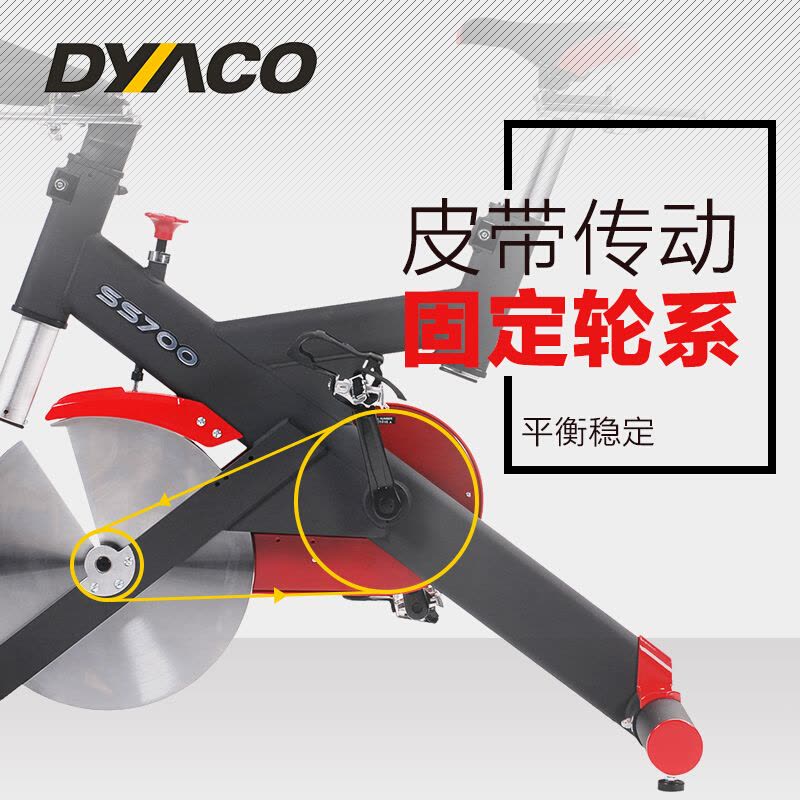 原装进口 DYACO岱宇直立式动感单车家用静音室内健身车22KG飞轮进口自行车SS700刹车片调节阻力健身器材图片