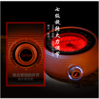 SEKO新功Q12A紫砂电陶炉煮茶器光波炉茶具 电陶炉烧水壶大功率功夫煮茶壶