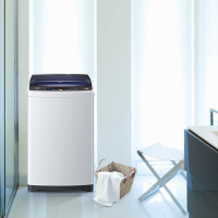 海尔(Haier)EB80BM2TH洗衣机波轮全自动变频大容量8公斤甩干桶自洁家用洗衣机1级能效下排水