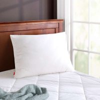 ABS爱彼此 全棉填充环保枕芯系列-标准款