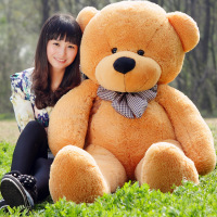 公仔大号泰迪熊猫女孩毛绒玩具布娃娃抱抱熊玩偶情人节生日礼物