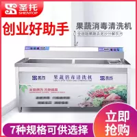 圣托(Shentop)全自动气泡洗菜机商用 大容量果蔬臭氧洗涤机蔬菜水果双缸涡流清洗机 STAQ-CS20