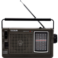德生(TECSUN)收音机R-304 黑