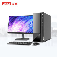 联想(Lenovo) 扬天M460+19.5英寸显示器(i5-12400 8G 1T+256GSSD 集显 W11)官方标配