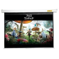 阿历克斯 (ALIKESI)DD80M电动 80英寸投影幕布16:9玻纤幕