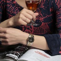 宾格BINGER 自动机械表 女士手表 双层镀膜硬化玻璃 精钢表壳 防水耐磨 时尚商务情侣款女表 巴顿系列女款