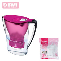 德国BWT倍世净水壶直饮 一壶两芯 便携户外净水壶过滤净水器净水杯2.7升紫色