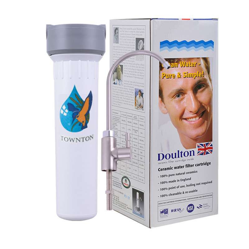英国道尔顿（Doulton）丹顿沙漏 H9-IP净水器家用直饮台下滤水器自来水过滤器