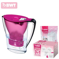 倍世（BWT）德国进口 滤水壶 净水杯阻垢2.7L一壶六芯 阻垢款 紫色2.7L