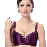 纤慕小胸聚拢调整型文胸刺绣花朵女内衣侧收副乳四排扣胸罩