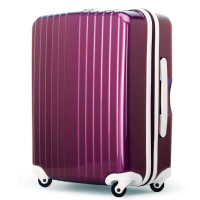 雷剑欧客国际登机最大容量拉杆箱18寸紫色