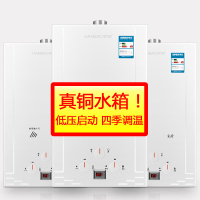 韩宝全铜水箱 8L大出水量 强排燃气热水器 煤气热水器JSQ16-DSY01天然气(用户自行安 装)