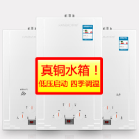 韩宝(HANBAO)8升强排式煤气热水器 全铜水箱 燃气热水器JSQ16-DSY01(覆盖范围提供安 装)