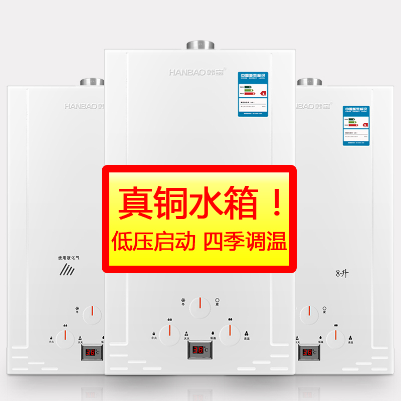韩宝(HANBAO) 全铜水箱8升大出水量强排 燃气热水器煤气热水器JSQ16-DSY01液化气