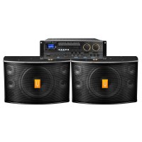 Yacare/雅桥 KT1210家庭ktv音响套装卡拉OK音箱12寸会议舞台设备