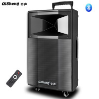 Qisheng/奇声 广场舞音响音箱户外大功率电瓶便携式无线拉杆音响蓝牙播放器 15吋+双话筒+16G U盘+支架+耳咪