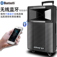 Qisheng/奇声 广场舞音响音箱户外大功率电瓶便携式无线拉杆音响蓝牙播放器 15吋+双话筒+16G U盘+支架+耳咪