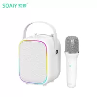 索爱(soaiy) SK6蓝牙音箱一体声卡麦克风话筒家用k歌唱歌音响直播儿童无线KTV