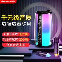 纽曼(Newsmy) K19双麦克风蓝牙音响K歌神器一体式内置声卡显示歌词K歌音箱
