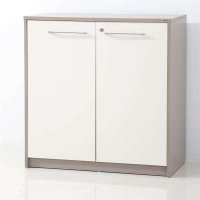 好环境家具直销环保板材 新款文件柜 矮柜 地柜 副台 订做办公柜