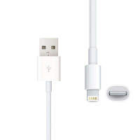 苹果(Apple)5代充电器数据线 iphone5 ipod touch5 ipad4 mini nano7通用