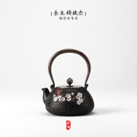 尊儒 铁壶日本工艺手工生铁铸铁壶 老铁壶煮水烧水茶壶功夫茶具