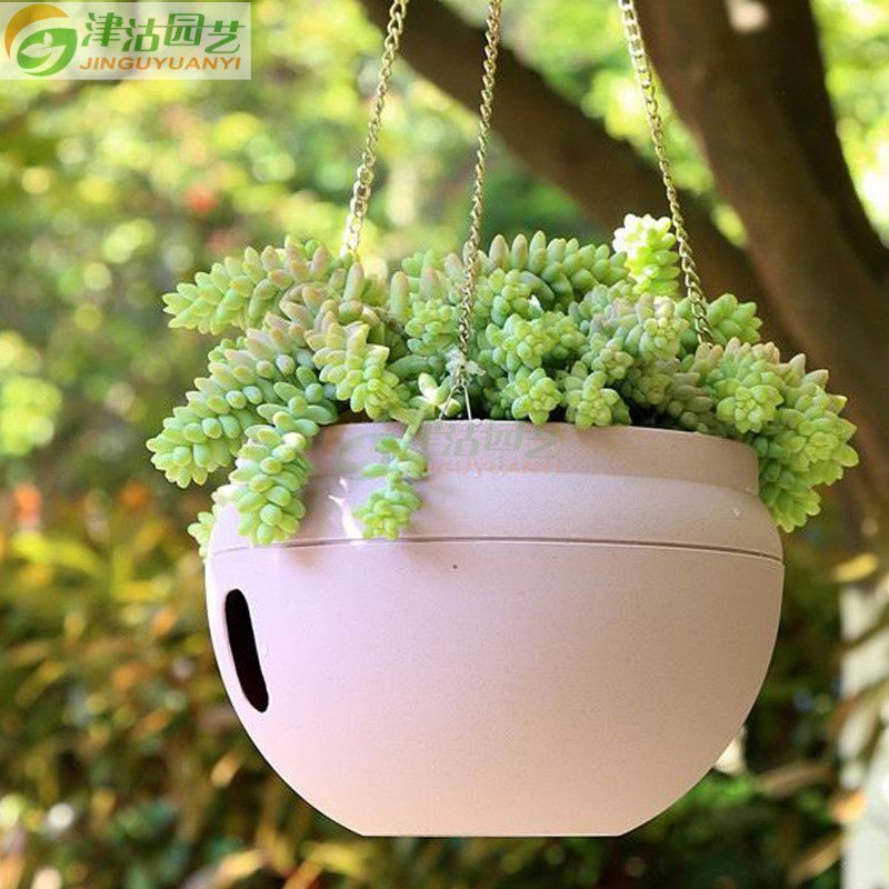 津沽园艺 园艺用品 塑料花盆 自动浇灌吊盆 带挂钩挂链 大号 颜色随机 2个