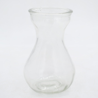 津沽园艺 园艺用品 风信子水培瓶 水培植物瓶 玻璃材质 透明 简约 桌面 窗台 茶几花盆容器 1个