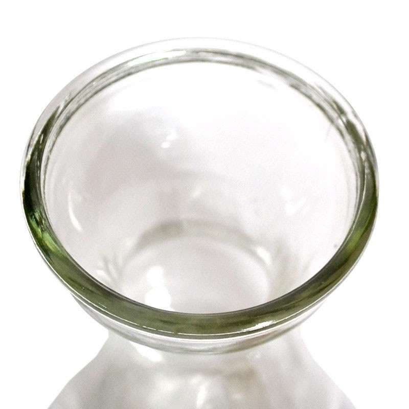津沽园艺 园艺用品 风信子水培瓶 水培植物瓶 玻璃材质 透明 简约 桌面 窗台 茶几花盆容器 1个图片
