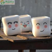 津沽园艺 园艺用品 笑脸系列花盆容器 小清新多肉花盆 方 形简约白瓷盆 可爱简约陶瓷盆 带底孔 1个 随机图案