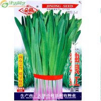 津沽园艺 蔬菜种子 韭菜种子 独根红品种 阳台菜园种植约10克/包