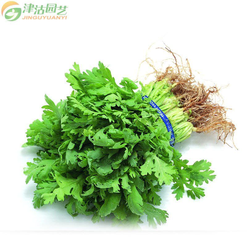 津沽园艺 蔬菜种子 意大利香菜 原装约20克/包 叶色深绿香味浓 家庭阳台种菜图片