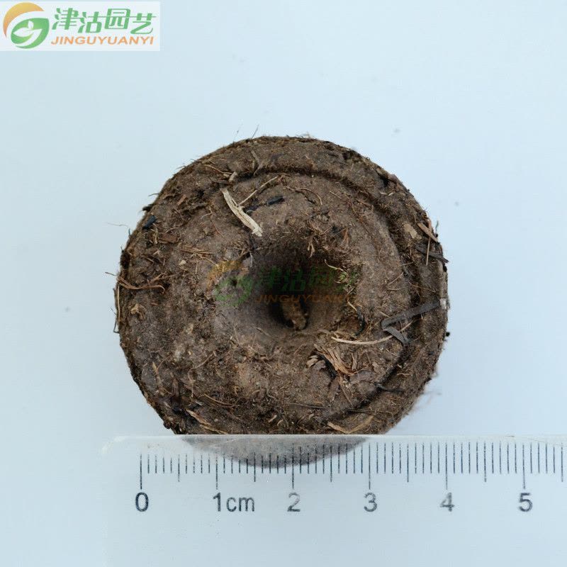 津沽园艺 花土园艺用品 国产育苗块 蔬菜花卉育苗用 泥炭育苗种植育苗块30个图片