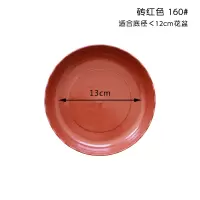 津沽园艺 花边红托盘 160mm 1个