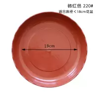 津沽园艺 花边红托盘 220mm 1个