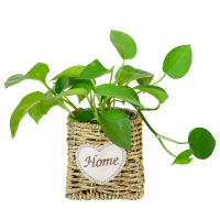 津沽园艺 手工草编花盆绿萝吊兰花盆多肉盆编织盆草编盆