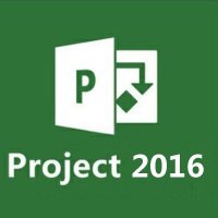 微软/PrjctPro 2019 CHNS OLP NL w1PrjctSvrCAL中文专业版