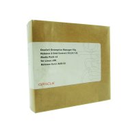 Oracle数据库/Oracle Enterprise Manager 10G