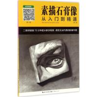 素描石膏像从入门到精通 熊飞 著 艺术 文轩网