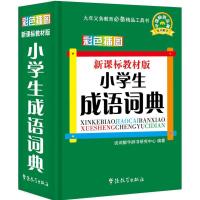 小学生成语词典 说词解字辞书研究中心 编著 著作 文教 文轩网