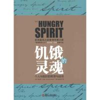 饥饿的灵魂 (英)汉迪  著 赵永芬 译 经管、励志 文轩网