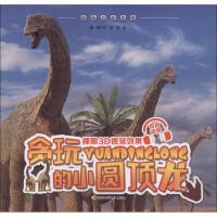 贪玩的小圆顶龙 江泓,郑拓 编著 著作 少儿 文轩网