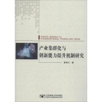 产业集群化与创新能力提升机制研究 黄西川 著 大中专 文轩网