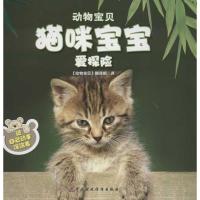 猫咪宝宝爱探险 泰特尔鲍姆 著作 动物宝贝翻译组 译者 著 动物宝贝翻译组 译 少儿 文轩网