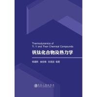 钒钛化合物及热力学 邹建新 崔旭梅 彭富昌 著 专业科技 文轩网